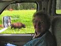 041SueWithBuffalo.jpg
